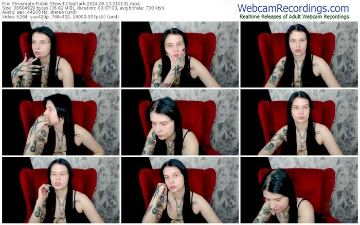 streamate-cleadark-06-13-2024-21-01-31