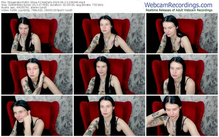streamate-cleadark-06-13-2024-23-43-40