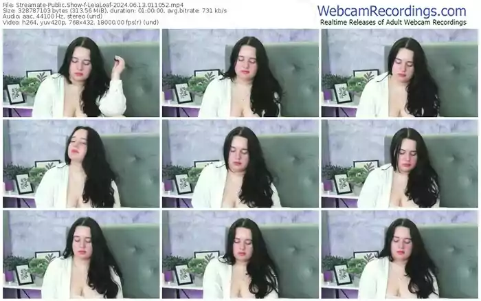 streamate-leialoaf-06-13-2024-01-10-52