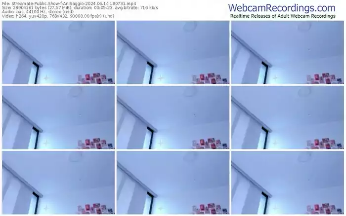 streamate-anisaggio-06-14-2024-18-07-31