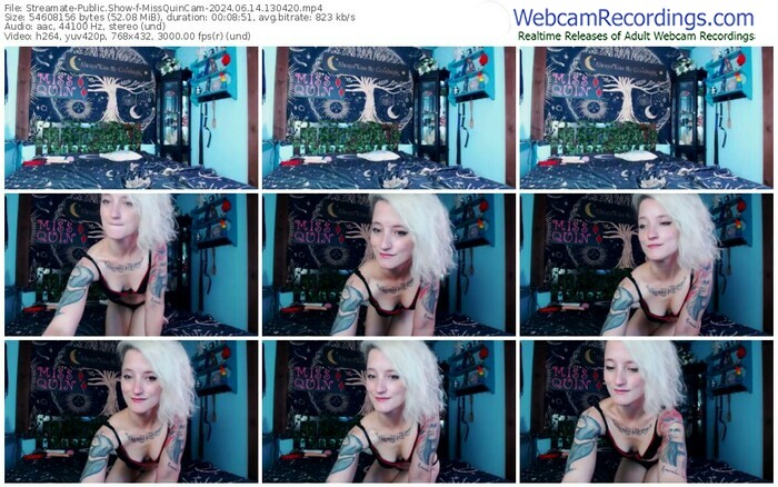 streamate-missquincam-06-14-2024-13-04-20