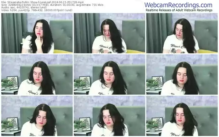 streamate-leialoaf-06-15-2024-05-17-28