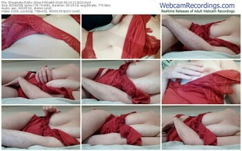 streamate-nina86-06-16-2024-11-32-22