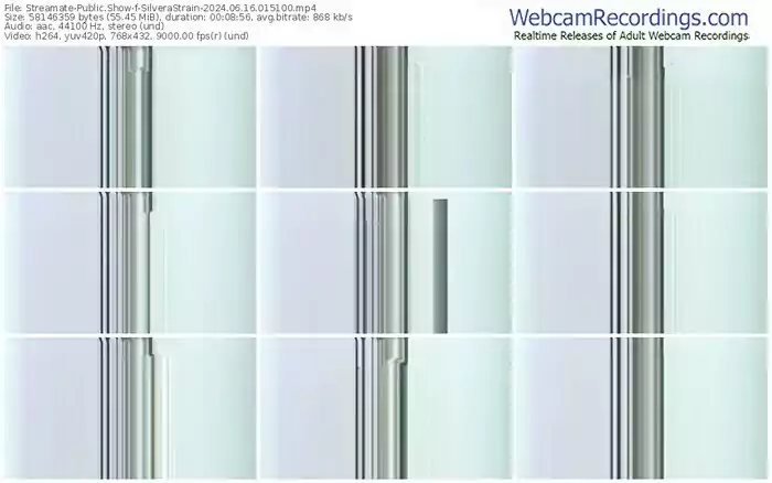 streamate-silverastrain-06-16-2024-01-51-00