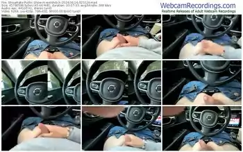 streamate-welshdick-06-16-2024-02-51-29