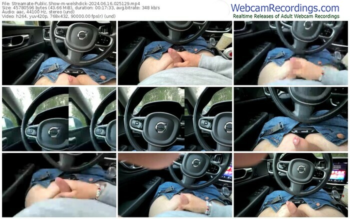 streamate-welshdick-06-16-2024-02-51-29