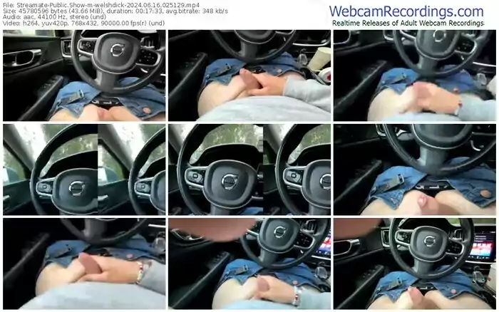 streamate-welshdick-06-16-2024-02-51-29