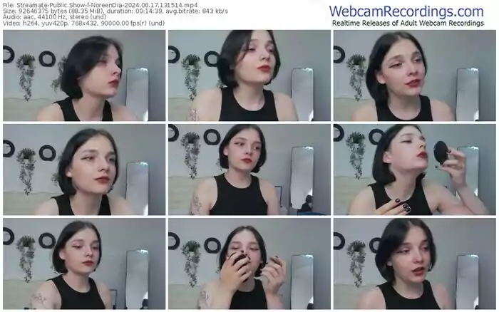 streamate-noreendia-06-17-2024-13-15-14