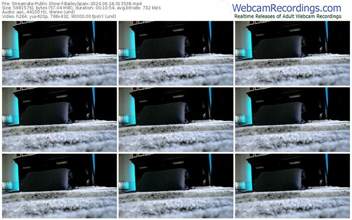 streamate-baileysparx-06-18-2024-01-35-38