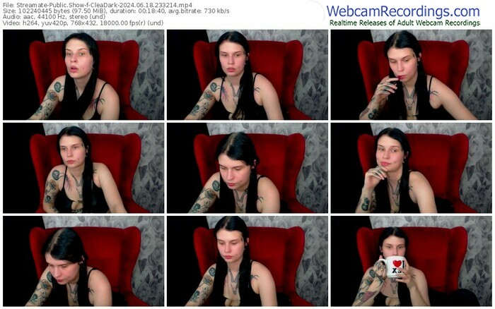 streamate-cleadark-06-18-2024-23-32-14