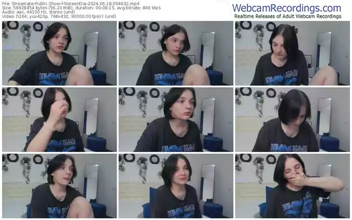 streamate-noreendia-06-18-2024-05-46-32