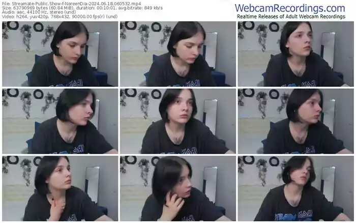 streamate-noreendia-06-18-2024-06-05-32