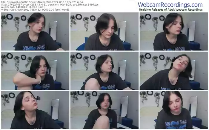 streamate-noreendia-06-18-2024-06-45-28