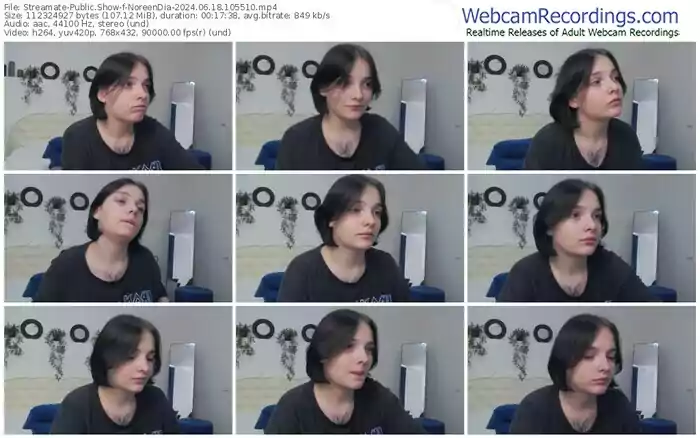 streamate-noreendia-06-18-2024-10-55-10