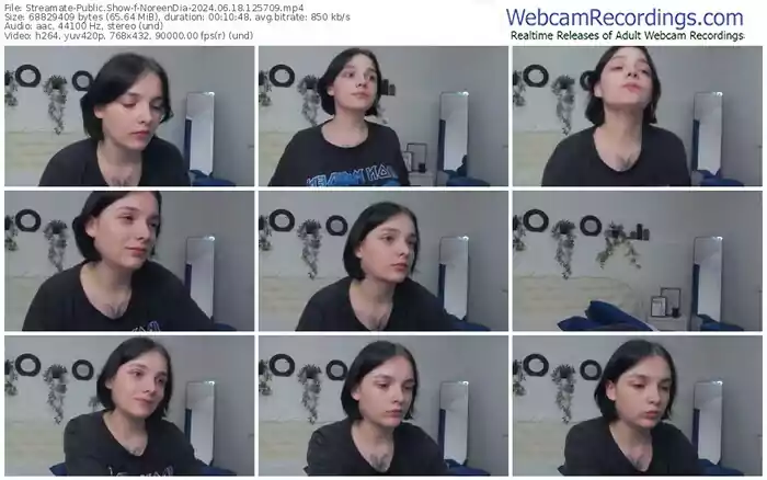 streamate-noreendia-06-18-2024-12-57-09