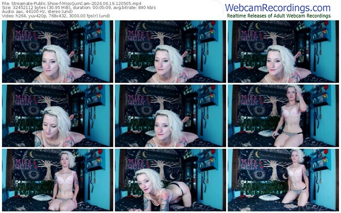 streamate-missquincam-06-19-2024-12-05-05