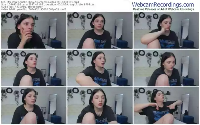 streamate-noreendia-06-19-2024-08-15-15