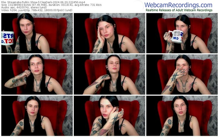 streamate-cleadark-06-20-2024-22-24-50