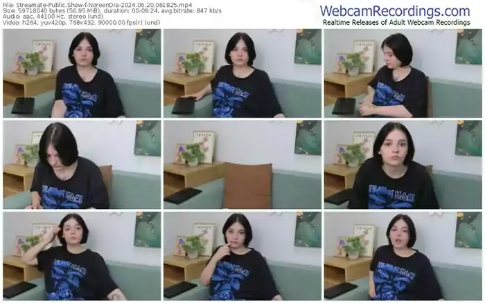 streamate-noreendia-06-20-2024-06-18-25