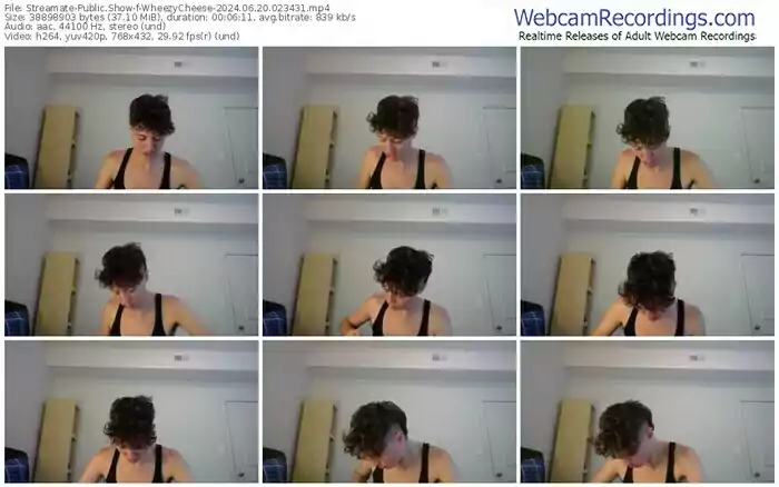 streamate-wheezycheese-06-20-2024-02-34-31