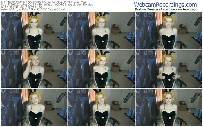 streamate-bedside_willow-06-21-2024-16-49-45