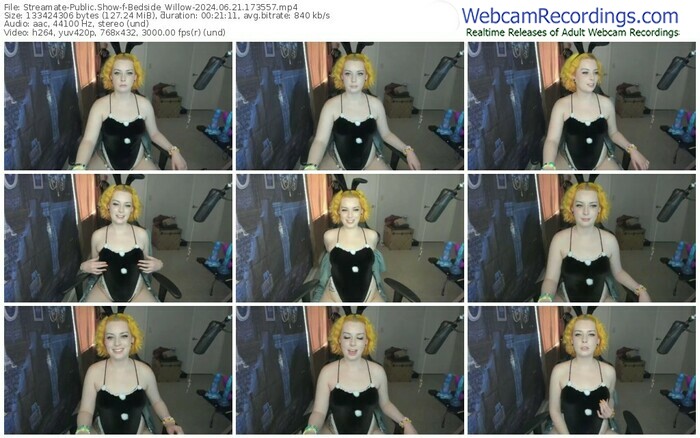 streamate-bedside_willow-06-21-2024-17-35-57