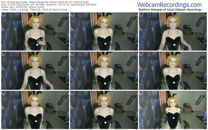 streamate-bedside_willow-06-21-2024-18-27-03