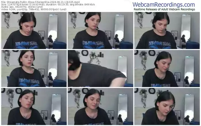 streamate-noreendia-06-21-2024-13-10-25