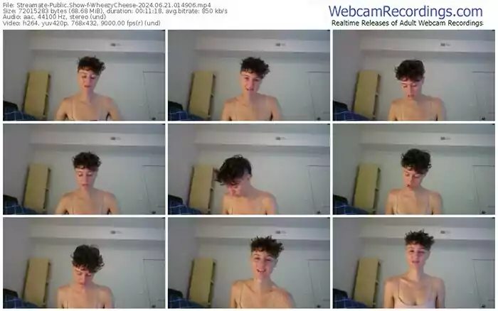 streamate-wheezycheese-06-21-2024-01-49-06