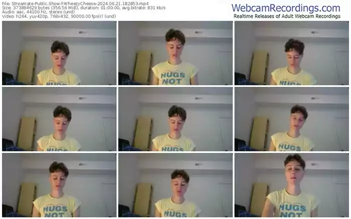 streamate-wheezycheese-06-21-2024-18-28-53