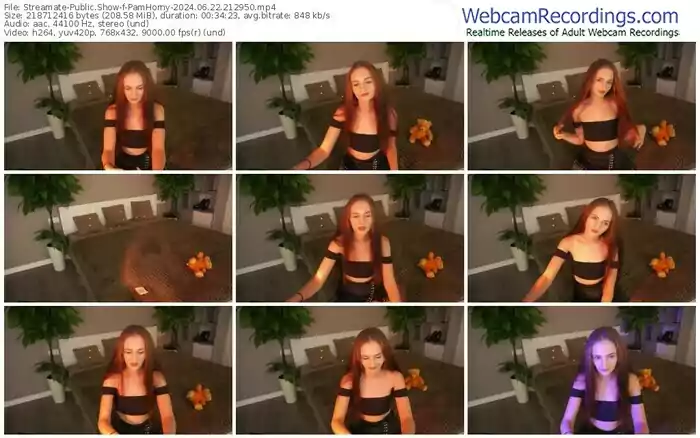 streamate-pamhorny-06-22-2024-21-29-50