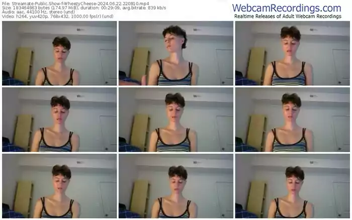 streamate-wheezycheese-06-22-2024-22-08-10