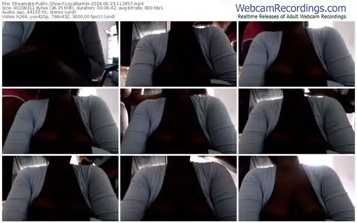 streamate-loyalbambi-06-23-2024-11-29-57