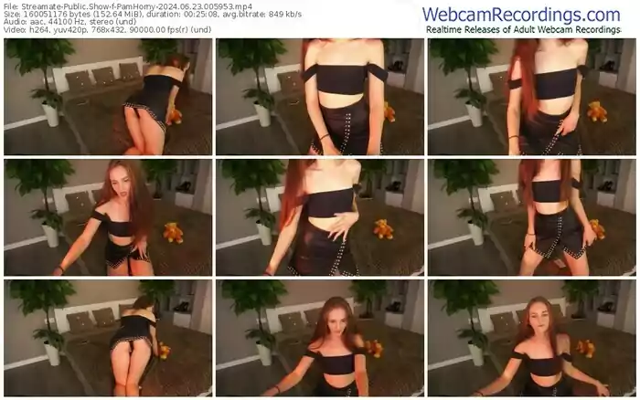 streamate-pamhorny-06-23-2024-00-59-53