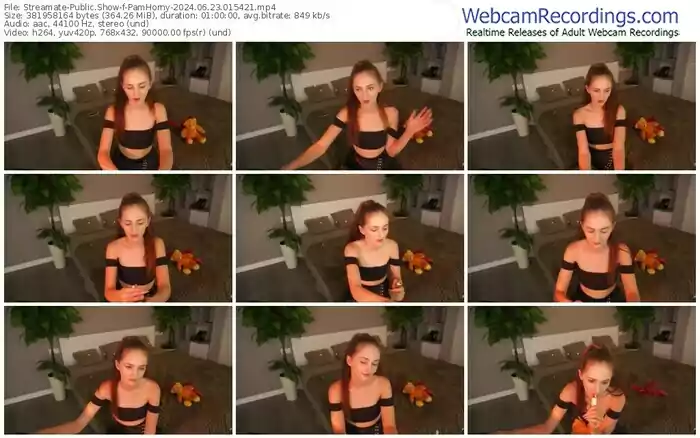 streamate-pamhorny-06-23-2024-01-54-21