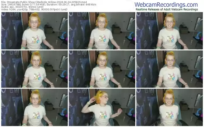 streamate-bedside_willow-06-24-2024-20-58-29