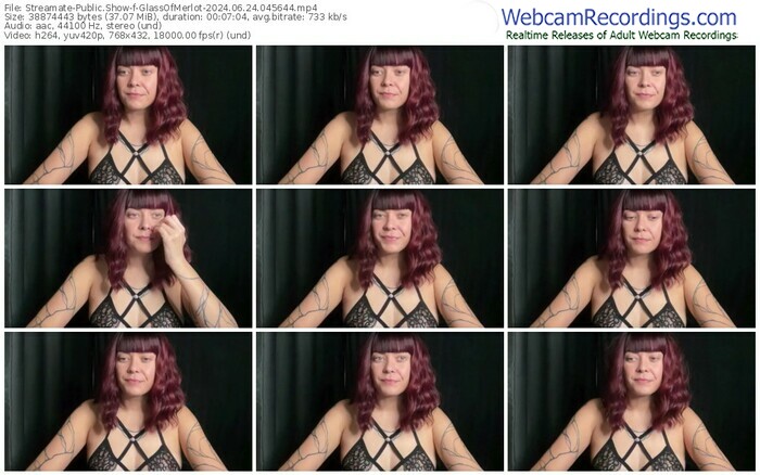 streamate-glassofmerlot-06-24-2024-04-56-44