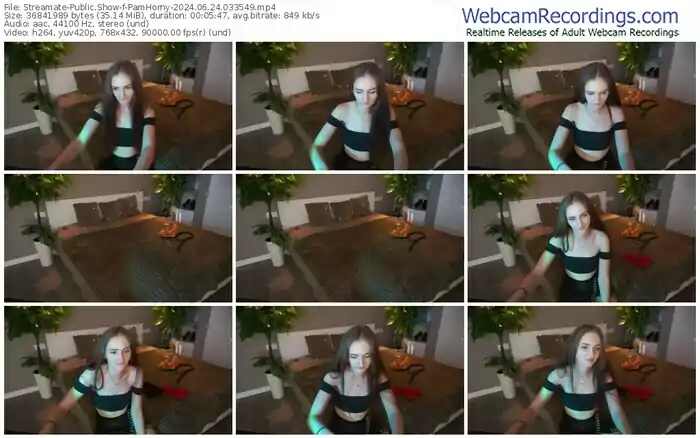 streamate-pamhorny-06-24-2024-03-35-49