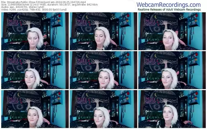 streamate-missquincam-06-25-2024-19-47-26