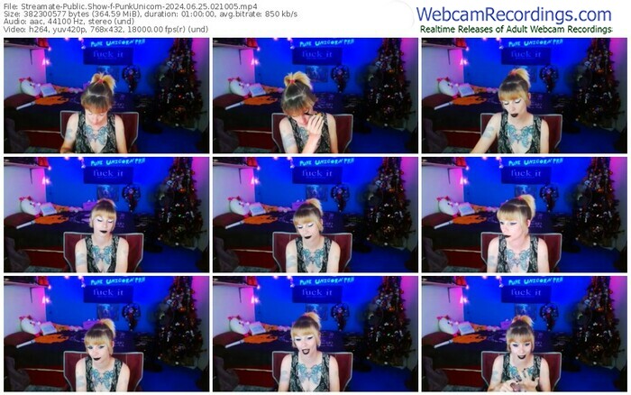 streamate-punkunicorn-06-25-2024-02-10-05