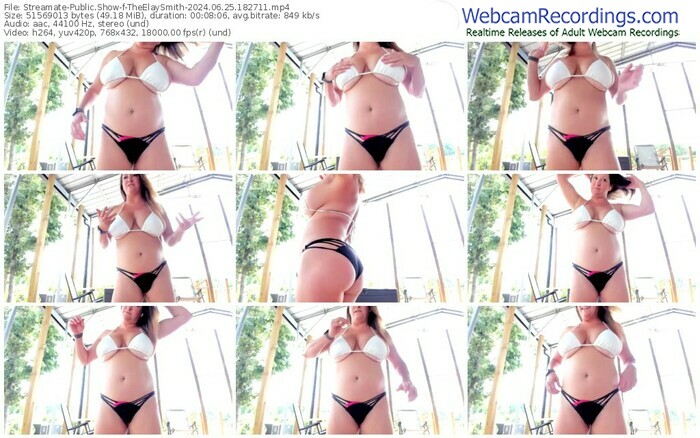 streamate-theelaysmith-06-25-2024-18-27-11