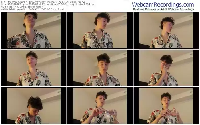 streamate-wheezycheese-06-25-2024-23-10-37