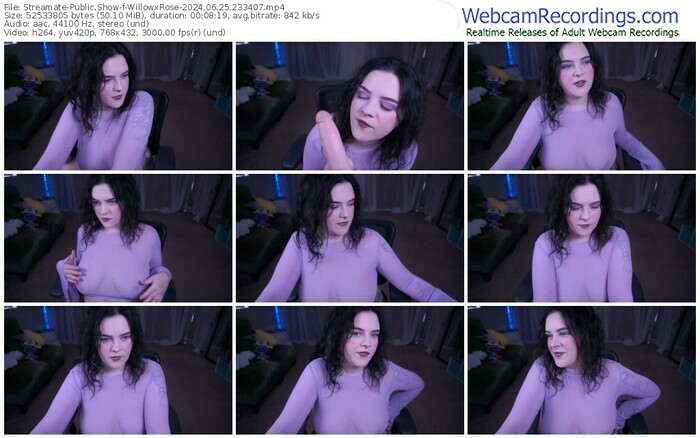 streamate-willowxrose-06-25-2024-23-34-07