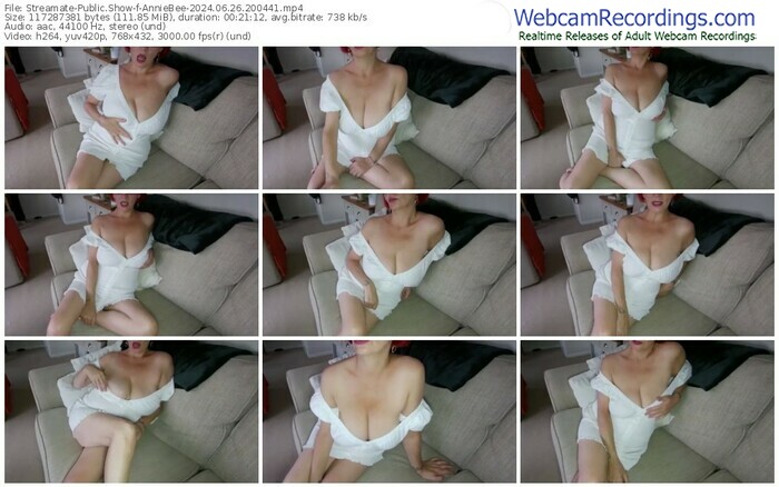 streamate-anniebee-06-26-2024-20-04-41