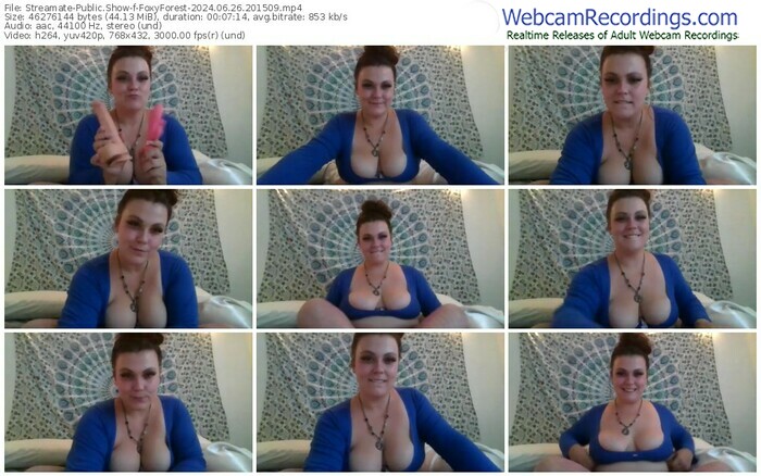 streamate-foxyforest-06-26-2024-20-15-09