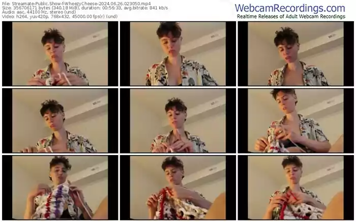 streamate-wheezycheese-06-26-2024-02-30-50