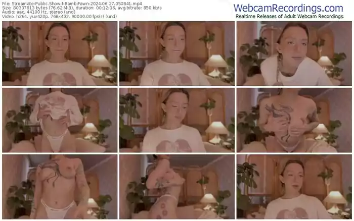 streamate-bambifawn-06-27-2024-05-08-41