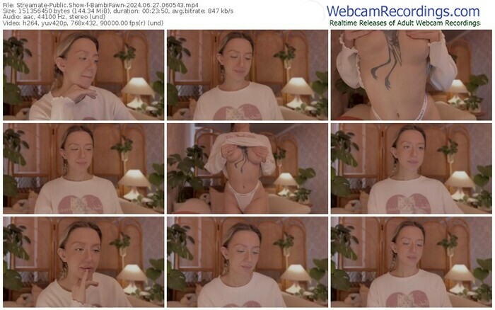 streamate-bambifawn-06-27-2024-06-05-43