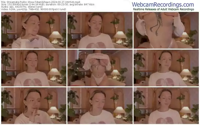 streamate-bambifawn-06-27-2024-06-05-43