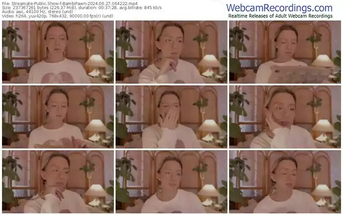 streamate-bambifawn-06-27-2024-06-42-22